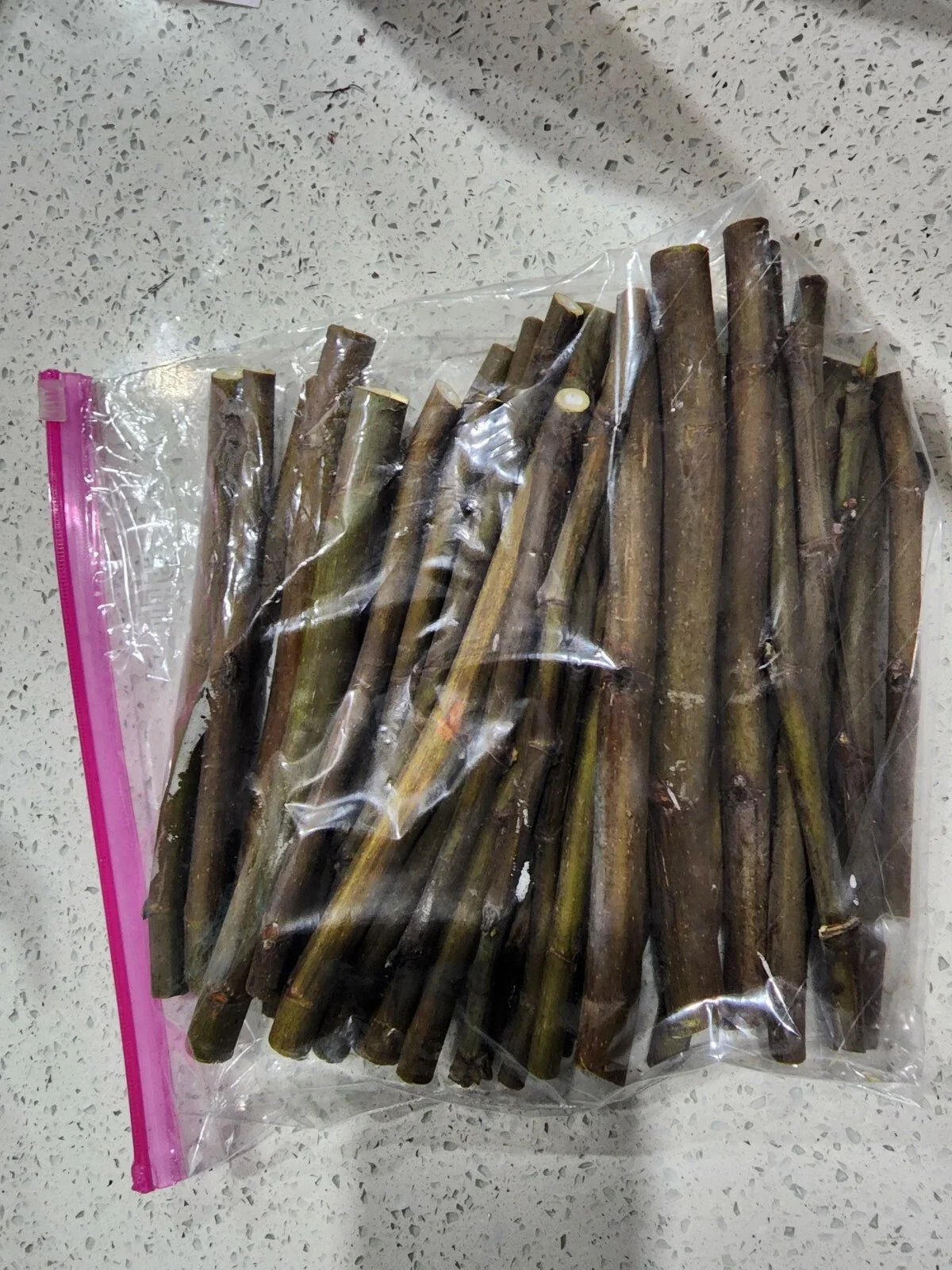 Smith Fig Tree Cuttings (2 × 6–8") – Unrooted, Organic, Heirloom Louisiana Fig