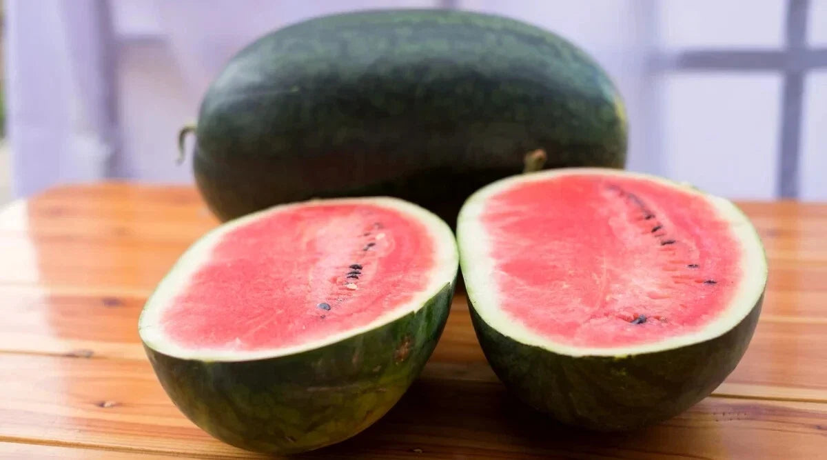 Black Diamond Watermelon Seeds - 50+ Pack - Heirloom Variety - Citrullus lanatus