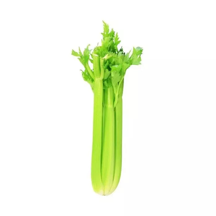 Celery Seeds - 20 Pack - Heirloom Vegetable Seeds - Apium graveolens - Free USA Shipping