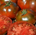 Paul Robeson Tomato Seeds 100+ Indeterminate Beefsteak Vegetable Seeds - Solanum lycopersicum
