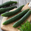 Suyo Long Cucumber Seeds - 25+ Heirloom Non-GMO Organic - Rare Variety - Cucumis sativus