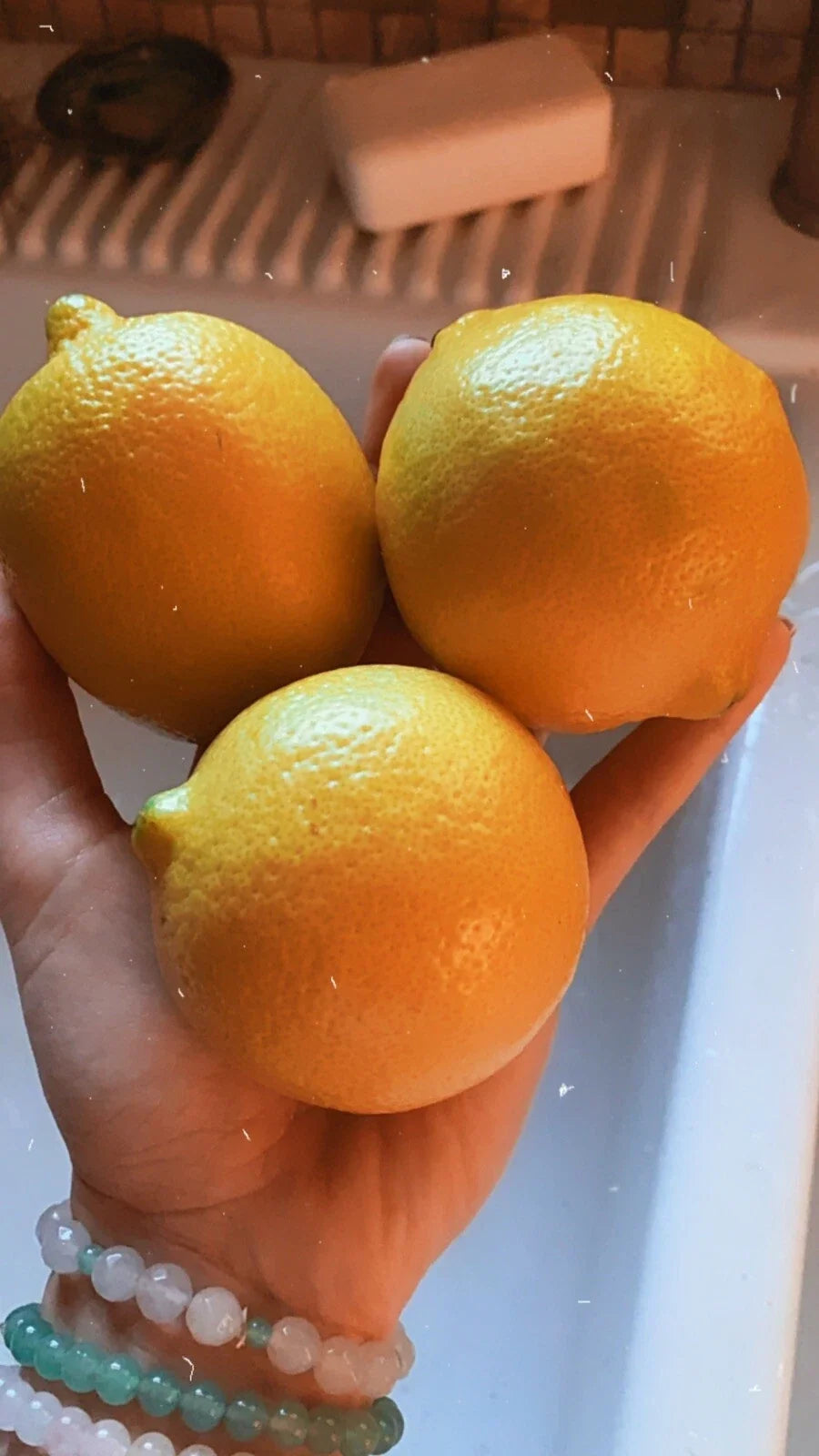 Lemon Seeds - 20 Organic Non-GMO Pesticide-Free Citrus Seeds - Citrus limon
