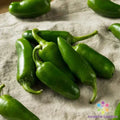 Jalapeno Tam Hot Pepper Seeds - 25+ Pack for Garden Planting - Capsicum annuum - USA Grown, Free Shipping