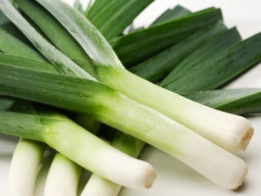 Heirloom Leek Seeds - 50 Pack, American Flag Variety - Allium ampeloprasum - Free USA Shipping