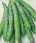 25+ Dragon Suhyo Cross Cucumber Seeds | Organic Vegetable Seeds for Garden Planting | Cucumis sativus