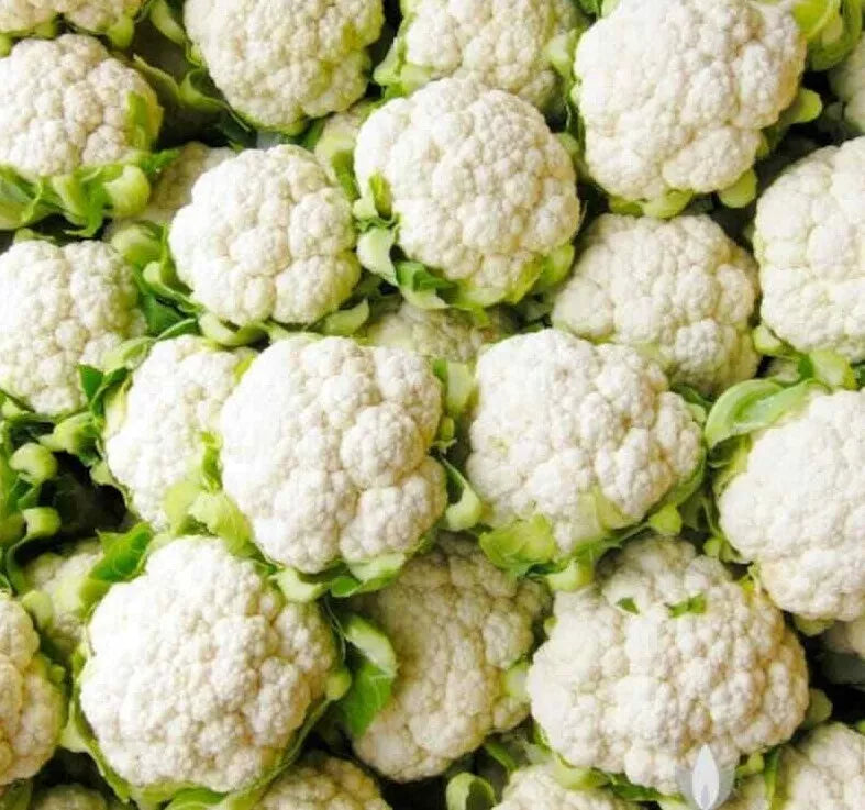 Cauliflower Seeds 300+ Non-GMO Snowball Y Improved Vegetable Garden Seeds (Brassica oleracea) USA Free Shipping