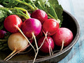 Easter Egg Radish Seeds, NON-GMO, Fast Harvest, Variety Sizes, Raphanus sativus