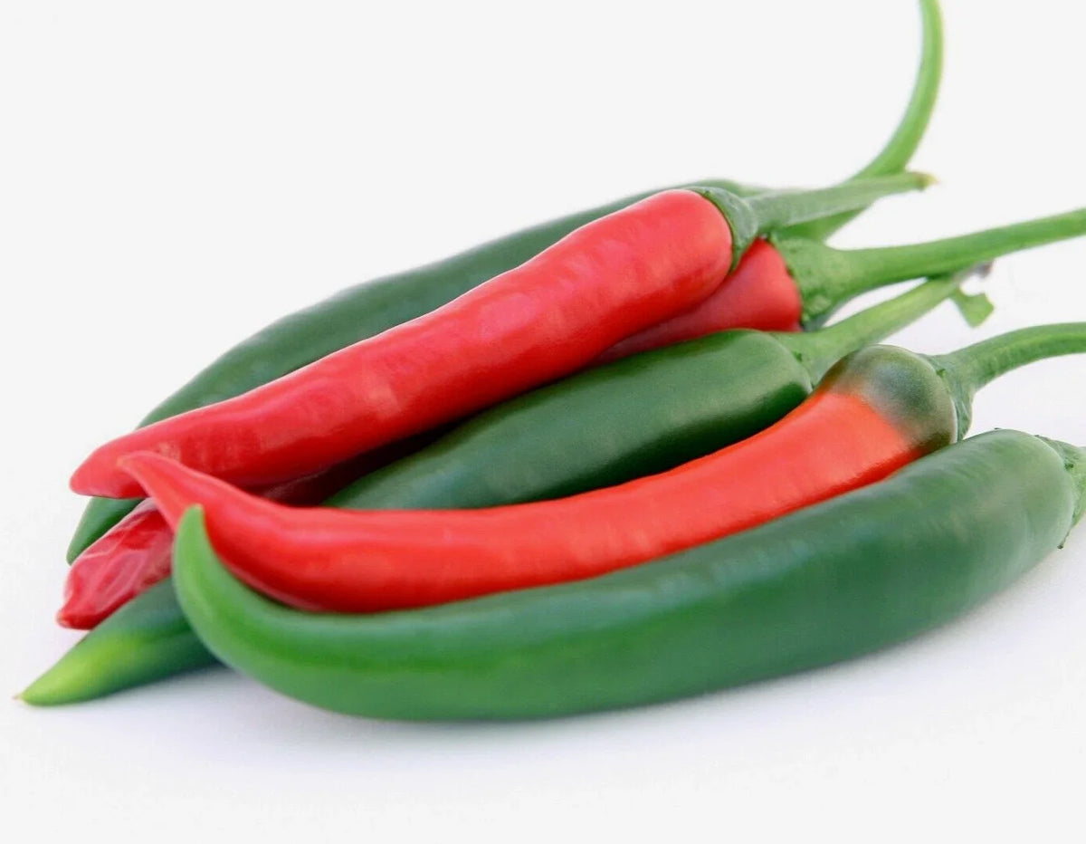 Jalapeno Pepper Seeds - 300 Heirloom Non-GMO Summer Vegetable Seeds - Capsicum annuum