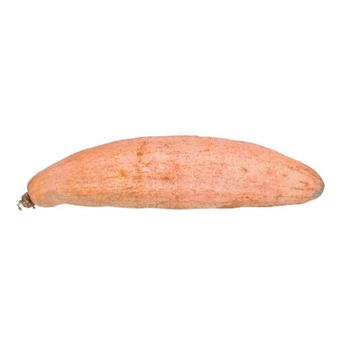 25+ Banana Squash Seeds for Garden Planting - Cucurbita maxima - Heirloom Variety - USA Grown, Free Shipping