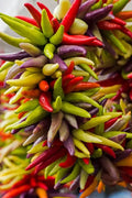 Cayenne Pepper Seeds - 100+ Count - Fiesta Blend - Hot - Heirloom - Organic - Non-GMO - Capsicum annuum