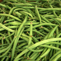 Kentucky Wonder Green Bush Bean Seeds 50 Ct Heirloom NON-GMO Vegetable Garden Seeds Phaseolus vulgaris