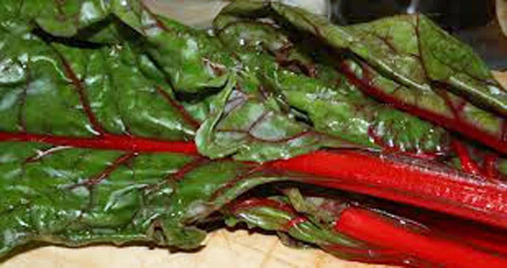 Heirloom Rhubarb Seeds, Non-GMO, 500 Seeds, Swiss Chard Variety, Perfect for Home Gardens, Organic Gardening