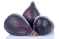 LSU Gold Fig Seeds - 100+ Count - Perfect for Garden Planting - Ficus carica