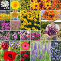 Northeast Wildflower Seed Mix, 1/4 lb, 120,000+ Seeds for Planting, Native Flower Varieties, Eco-Friendly Garden Mix