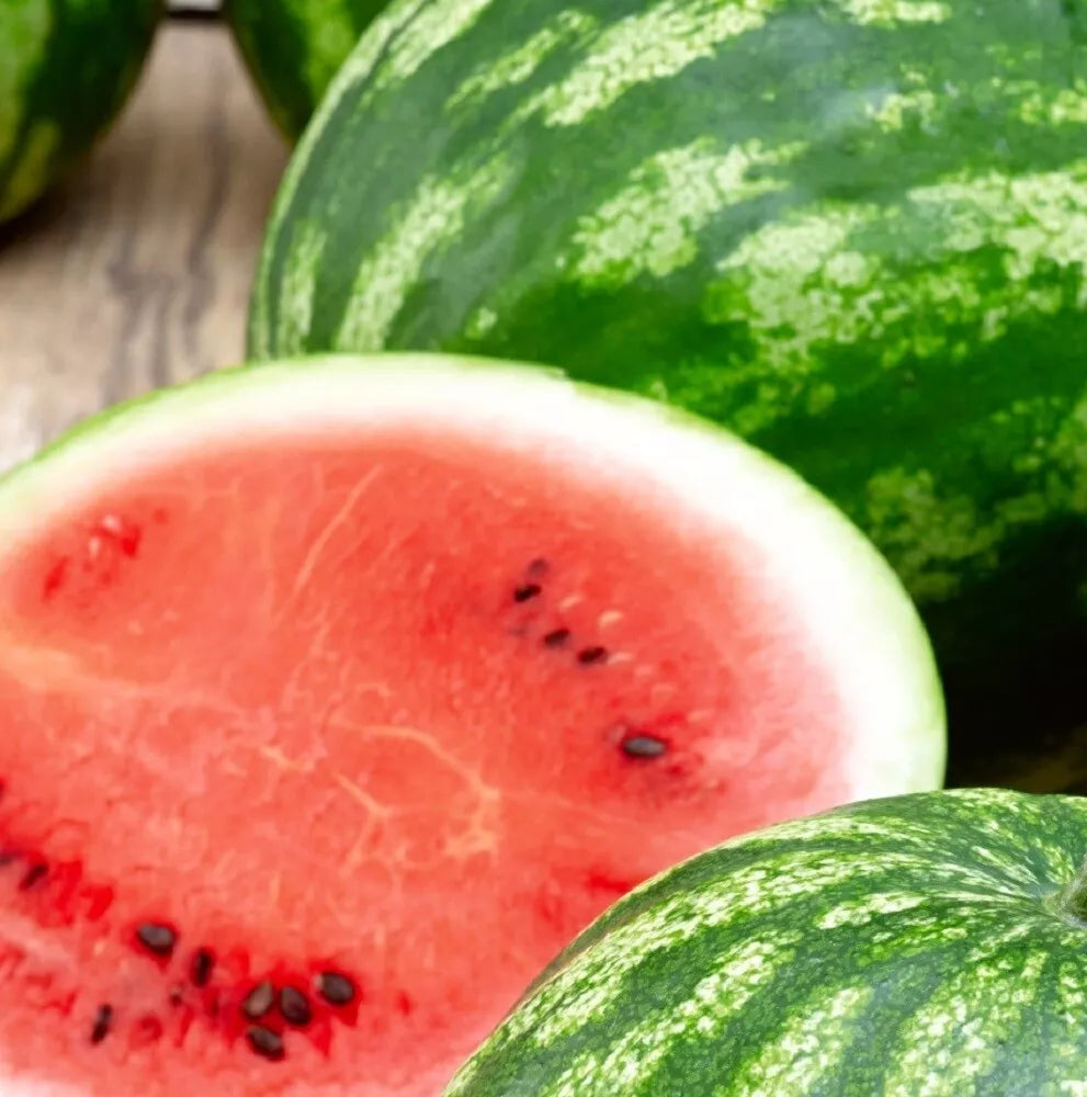 Cal Sweet Watermelon Seeds | Heirloom NON-GMO | Garden Seeds | Citrullus lanatus