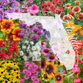 Northern Florida Wildflower Seed Mix 1/4LB Bulk, Covers 2,000 sq ft - Native Wildflowers for Gardens, Landscapes, and Pollinators