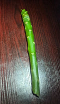 Plumeria Cuttings - 8-12 inch Unrooted - White or Rainbow Variety - Frangipani
