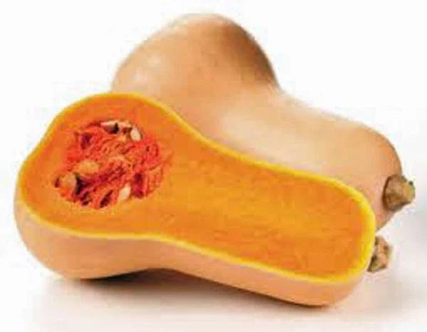 Butternut Squash Seeds, 500 Count, Heirloom, Non-GMO, Cucurbita moschata