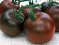 Black Prince Tomato Seeds - 30+ Heirloom Organic Non-GMO Rare Variety - Solanum lycopersicum
