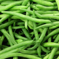 Kentucky Wonder Pole Bean Seeds 50 Ct Heirloom NON-GMO Vegetable Garden Seeds (Phaseolus vulgaris)