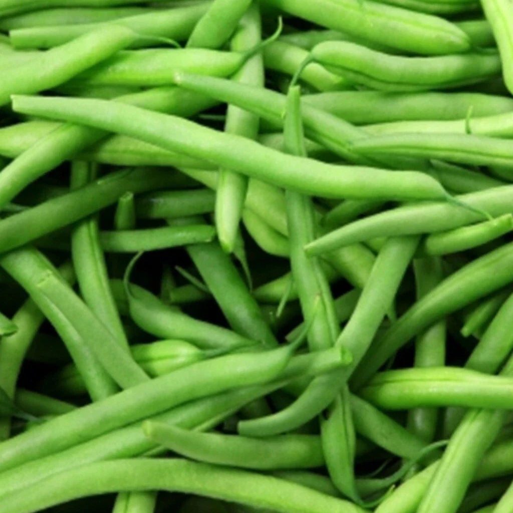 Kentucky Wonder Pole Bean Seeds 50 Ct Heirloom NON-GMO Vegetable Garden Seeds (Phaseolus vulgaris)