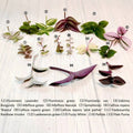 Leave Cuttings - Fresh Green Plant Cuttings for Propagation - Ideal for Gardening - Plant Connection