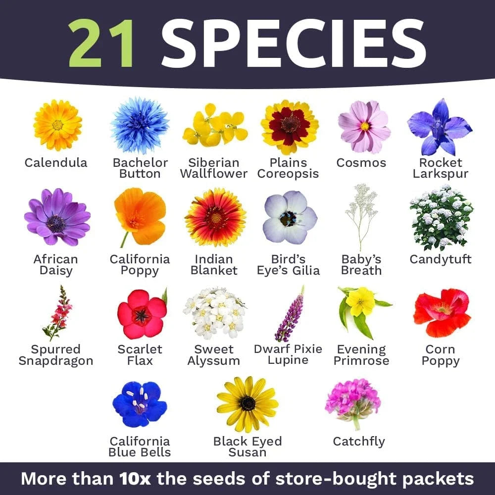 Bulk Wildflower Seeds - 1/4 Pound Bag - Annual Quick Blooming Mix - Over 30,000 Seeds - Perfect for Gardens and Landscapes