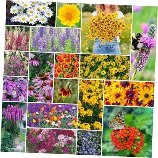 Perennial Wildflower Seeds Mix, 5 lb, 2,400,000+ Seeds, Non-GMO, Native Flowers for Planting, Wildflower Blend