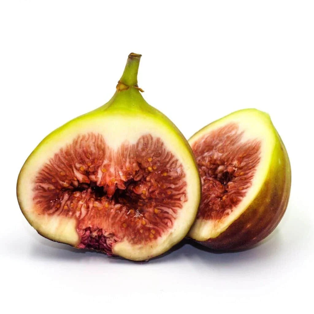 Brown Turkey Fig Seeds - 100+ Organic Seeds for Garden Planting - Ficus carica - USA Cultivated - Free Shipping