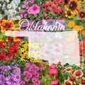 Bulk Wildflower Seed Mix 1/4LB Eastern Oklahoma Blend, Covers 2,000 sq ft, Native Wildflowers, Ideal for Pollinators