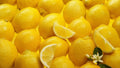 Organic Meyer Lemon Scions Cuttings 4-6 in Long for Rooting and Grafting, Citrus limon 'Meyer'