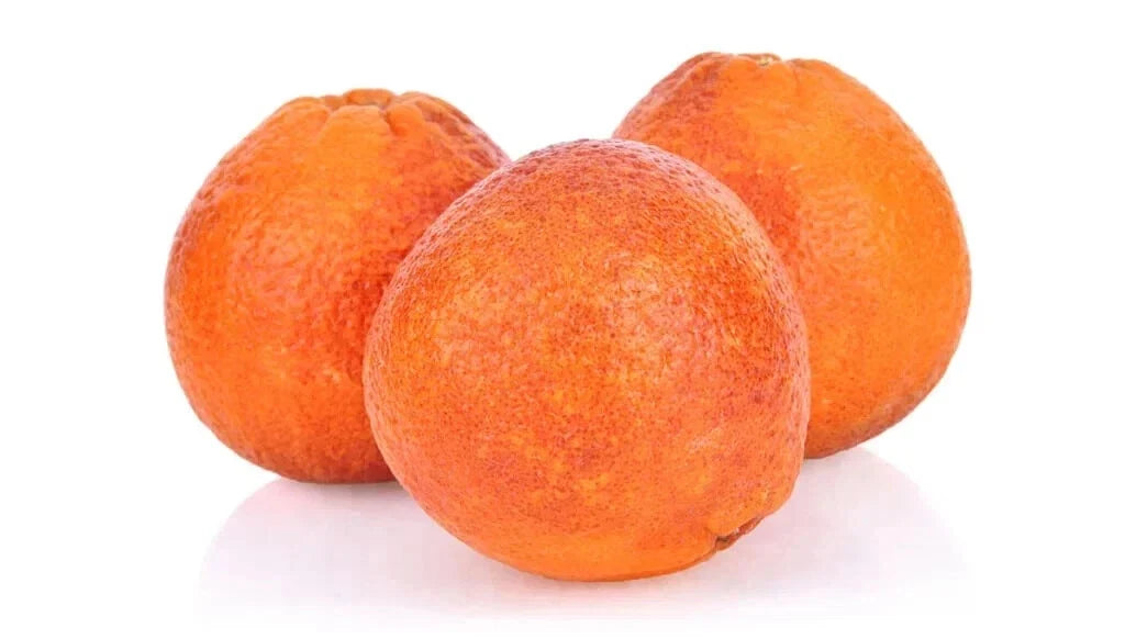 Moro Blood Orange Seeds - 5+ Pack - Citrus sinensis - Ideal for Garden Planting, USA Grown, Fast Shipping
