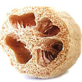 Loofah Seeds - 10 Heirloom Sponge Gourd Seeds - Non-GMO Luffa Vegetable for Gardening