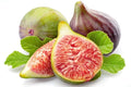 Celeste Fig Seeds - 100+ Count for Garden Planting - Ficus carica - USA Grown - Free Shipping