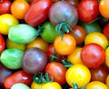 Rainbow Cherry Tomato Seeds - 30+ Heirloom Organic NON-GMO - Solanum lycopersicum