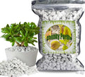 Organic Chunky Perlite for Plants, 1qt, 0.4"-0.8" Diameter, Natural Growing Medium, Soil Aeration, Hydroponics