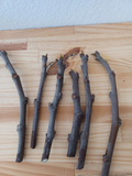 Brown Turkey Fig Cuttings - 6 Unrooted Ficus carica Hardwood Cuttings