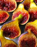 Fignomenal Fig Tree - Ficus carica Starter Plant, Dwarf Edible Fig for Pots & Small Gardens