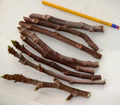 Texas Everbearing Fig Cuttings (3 x 6–8 in) | Ficus carica Rooting or Grafting in Zones 6–11