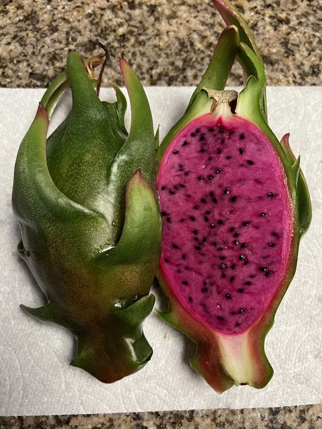 Asunta-X Dragon Fruit Cuttings (AX) – 4-Pack, 7–9" Unrooted Live Cuttings