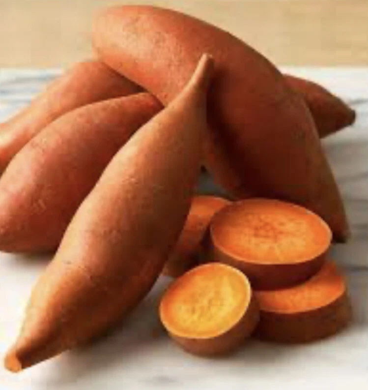 Beauregard Sweet Potato Slips – 10 Live Cuttings, Organic Garden Starter