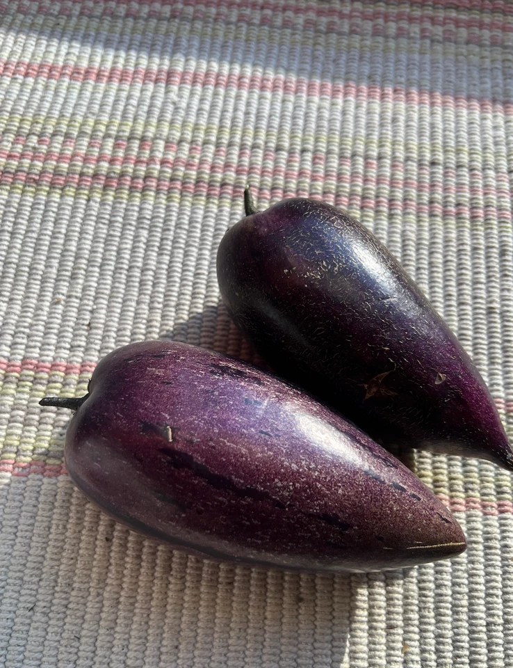 Pepino Melon Cuttings - 6 Fresh Deep Purple Pepino Melon Cuttings Solanum muricatum