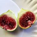 Smith Fig Cuttings (Ficus carica) - 2 Unrooted 6–8"